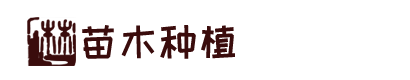 kb88凯时